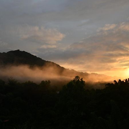 Minca Seasons Birds Hostel ภายนอก รูปภาพ