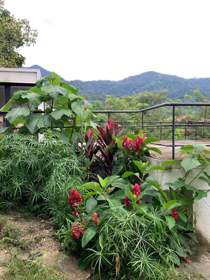Minca Seasons Birds Hostel ภายนอก รูปภาพ